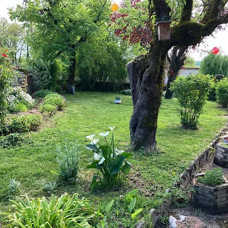 בית נופש Le Secadou Du Mas - Maison En Pierre Avec Piscine Bournazel (Tarn)